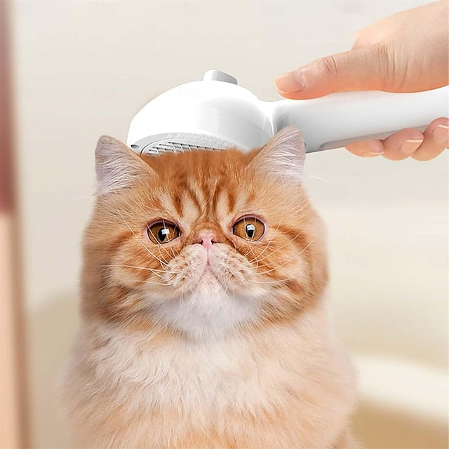 Product showcase image
